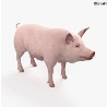 З анімацією Свиня 3D модель - Скачати Тварини на 3DModels.org